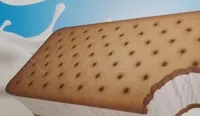 Sandwich nata