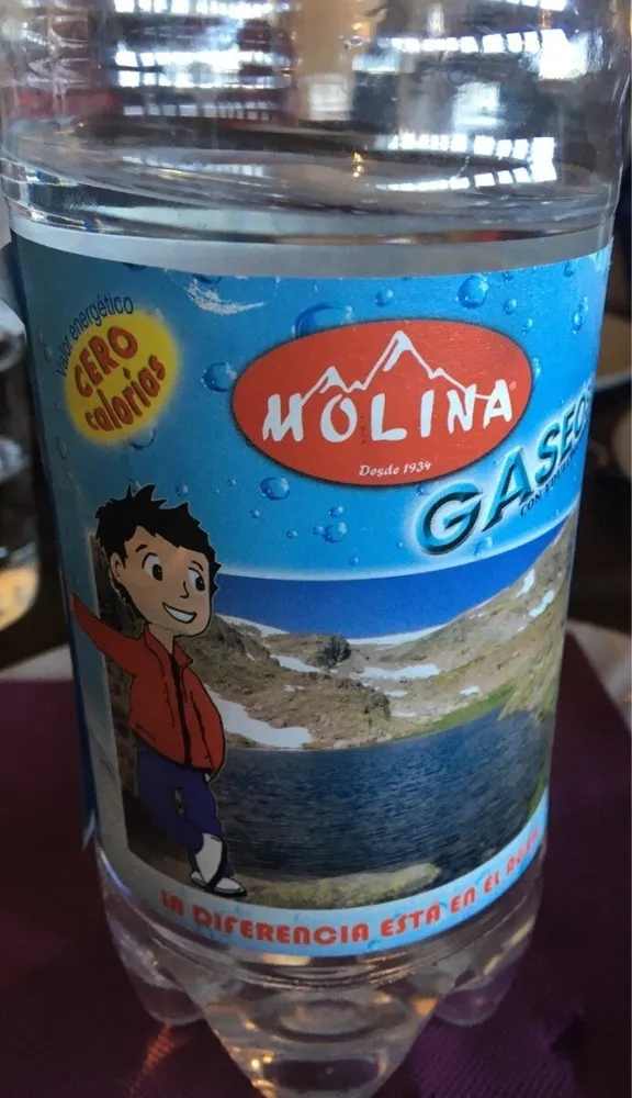 Gaseosa