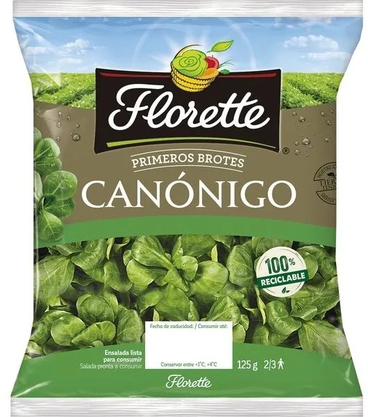 Canónigo primeros brotes