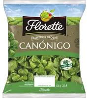 Canónigo primeros brotes