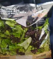 Ensalada de lechuga batavia y lollo rojo