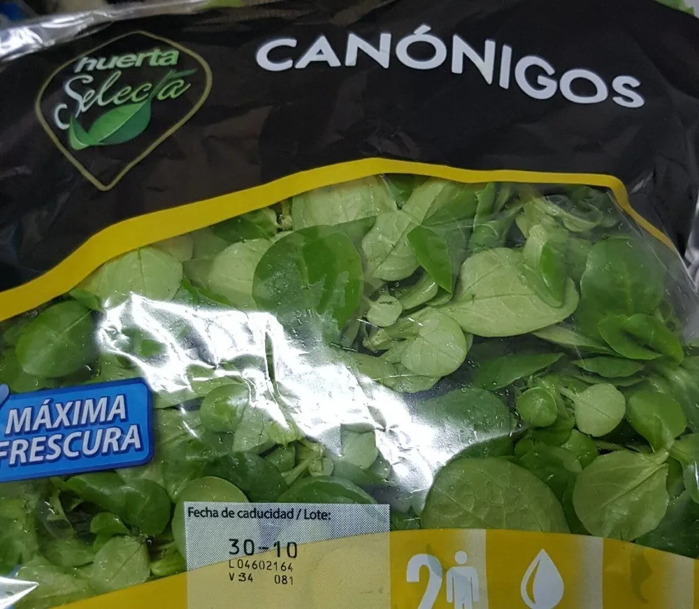 Canónigos
