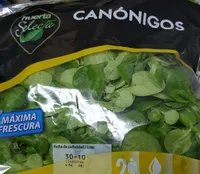 Canónigos