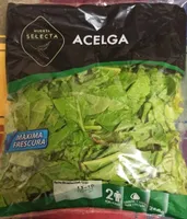 Acelga