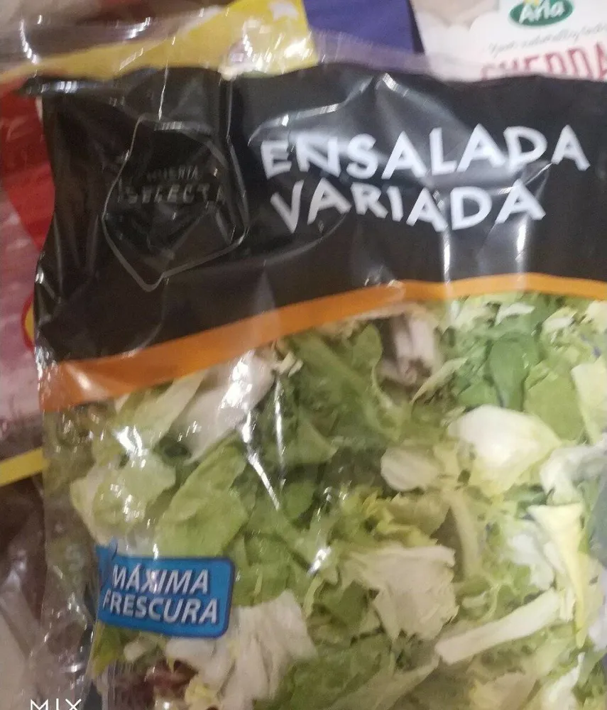 Ensalada Variada