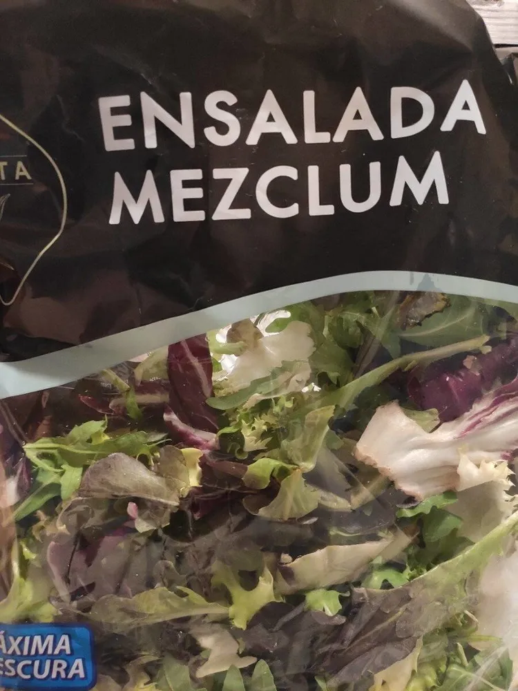 Ensalada Mezclum