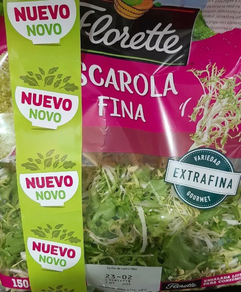 Escarola fina