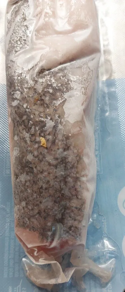 Solomillo de merluza congelada