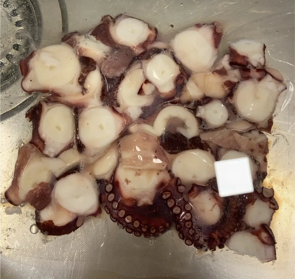 Rodajas de pulpo cocido