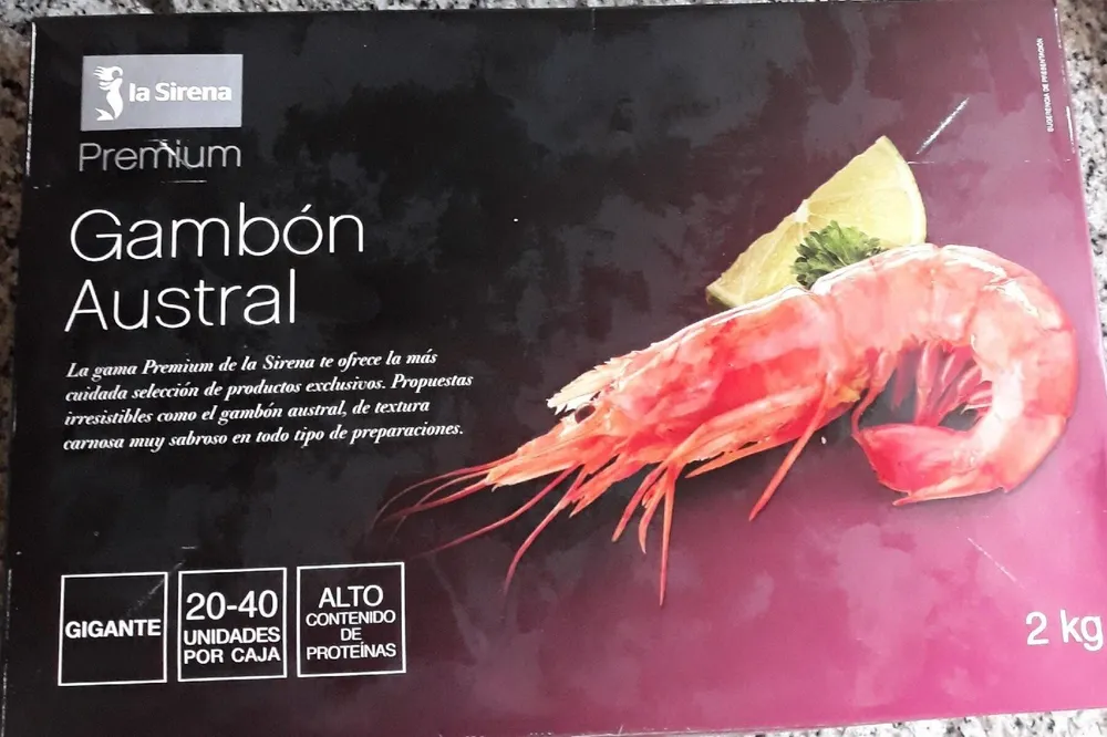 Gambón austral