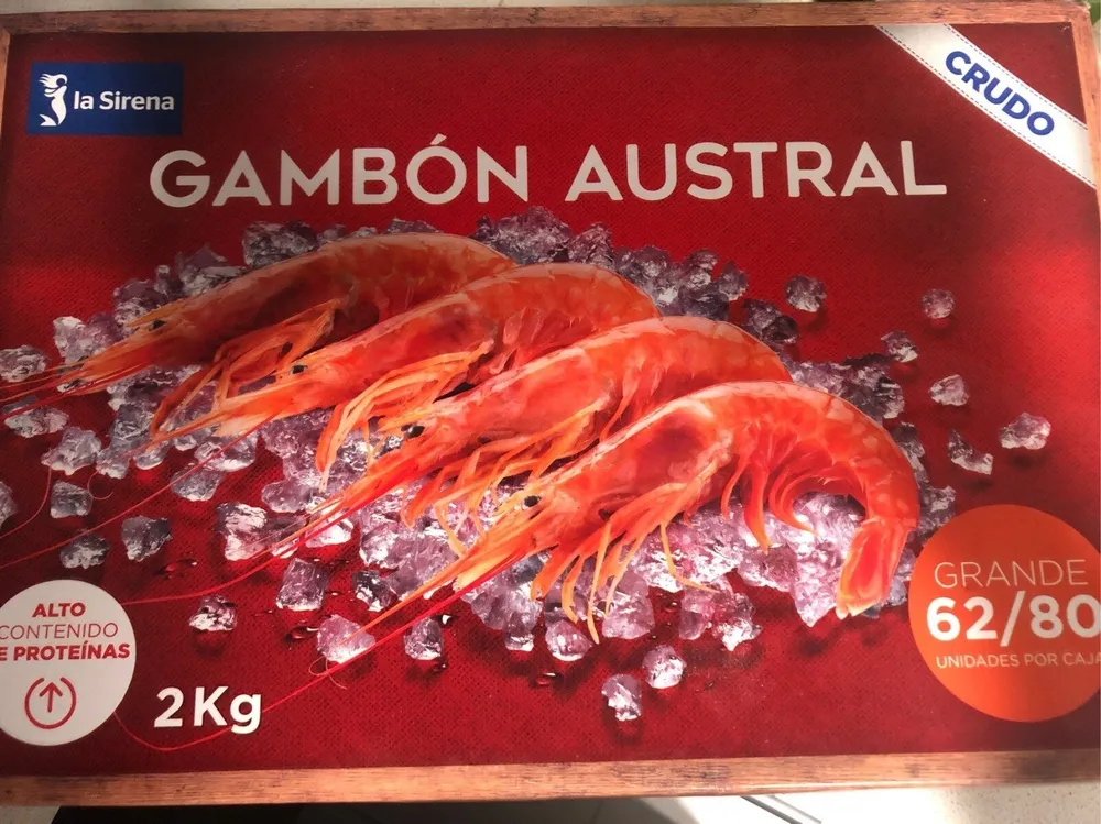 Gambón austral