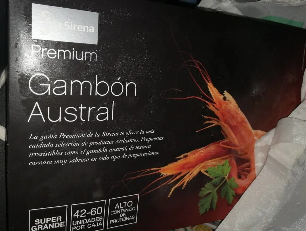 Gambón austral