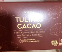 Tulipas cacao