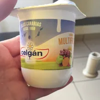 Yogurt multifrutas