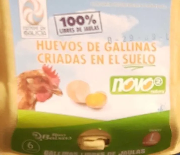 Huevos de gallinas criadas en el suelo