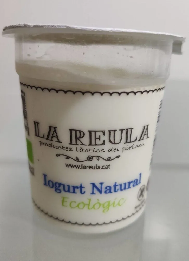 Iogurt natural ecológico