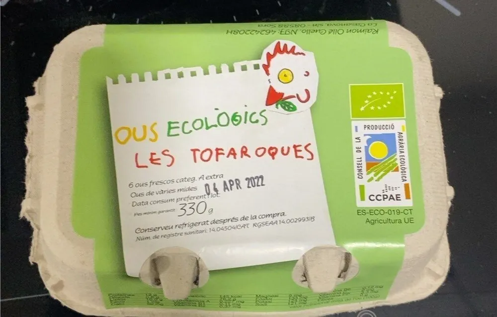 Huevos ecológicos
