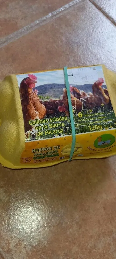 HUEVERA GALLINA CRIADA