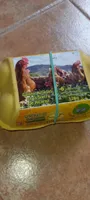 HUEVERA GALLINA CRIADA