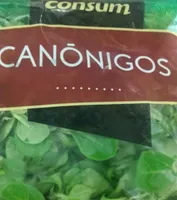 Canónigos