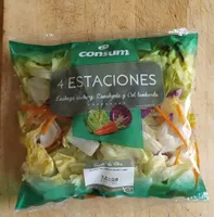Ensalada 4 estaciones