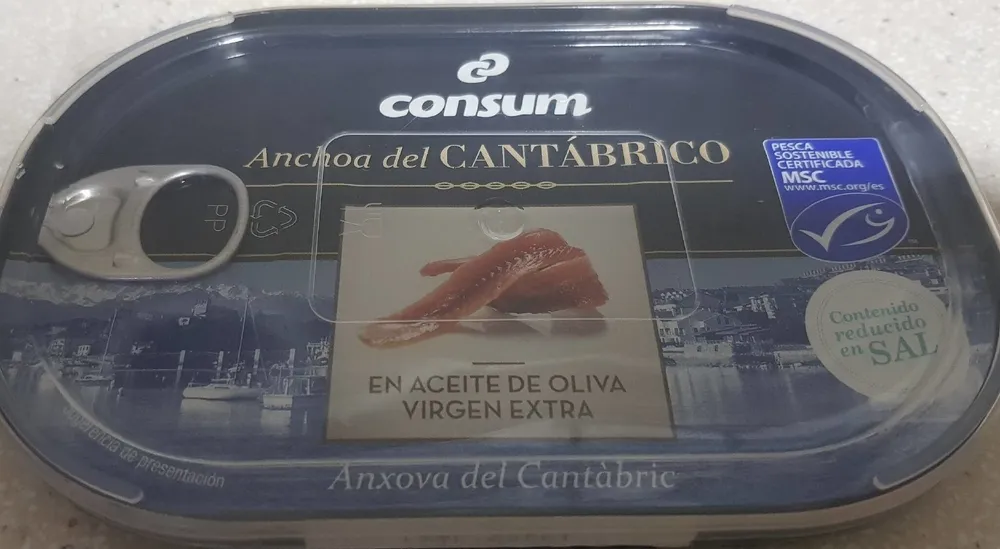 Anchoa del Cantábrico