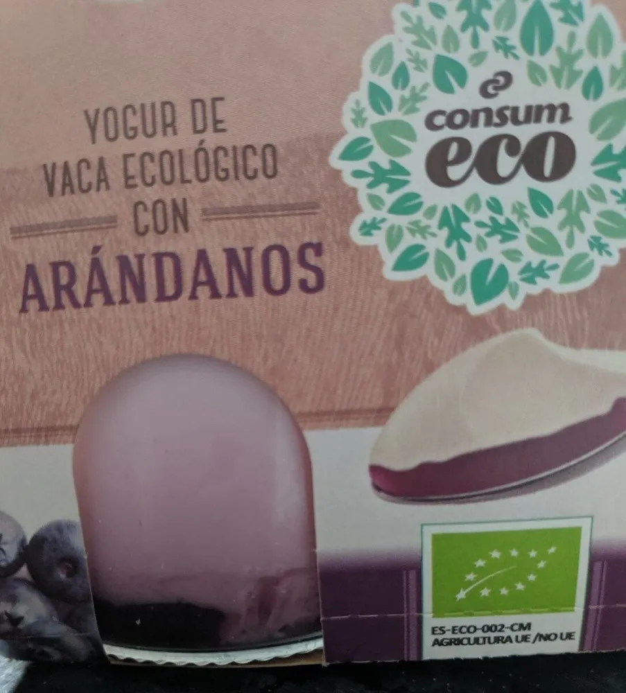 Yogur de vaca ecológico con arándanos