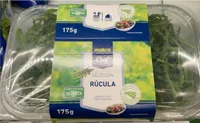 Rúcula