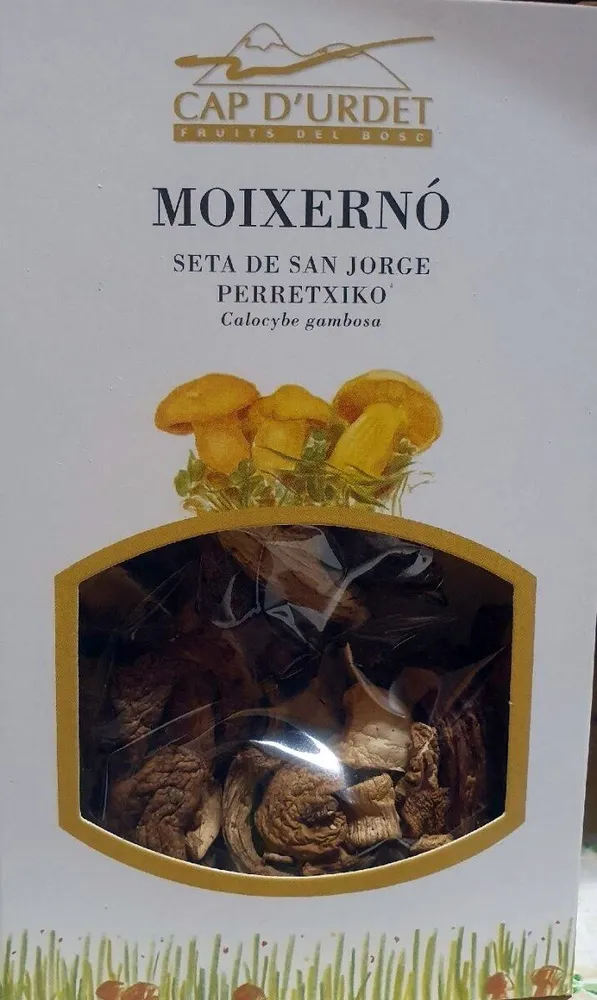 Moixernó