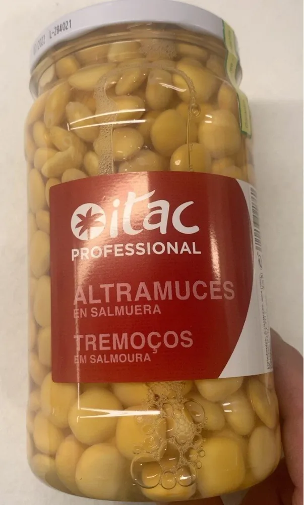 Altramuces