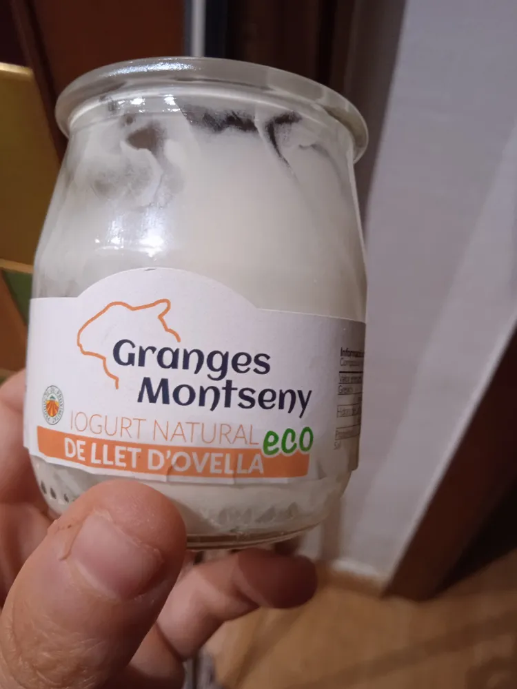 Iogurt natural eco de llet d'ovella