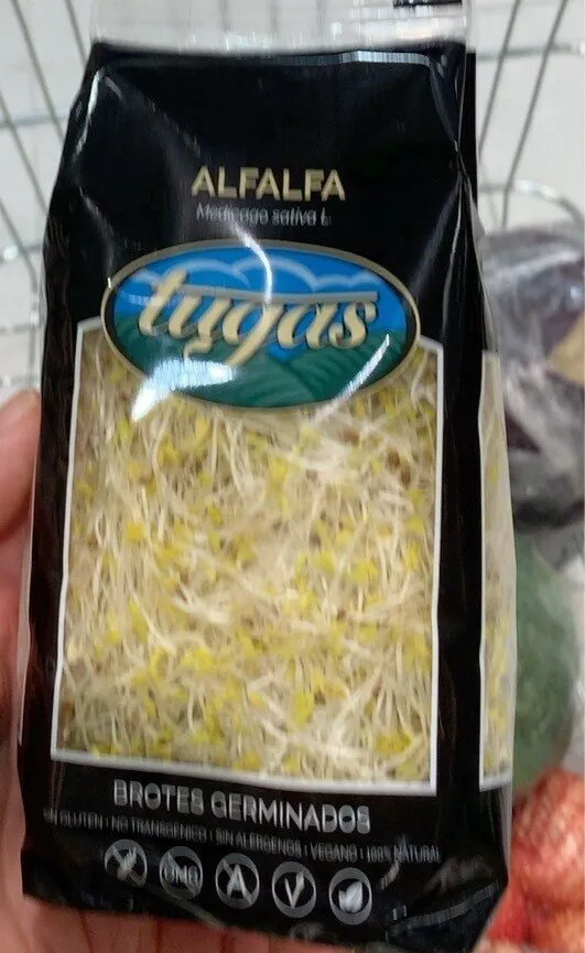 Brotes de alfalfa
