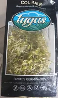 Brotes germinados de col kale