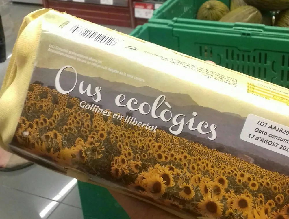 Huevos ecológicos de gallinas en libertad