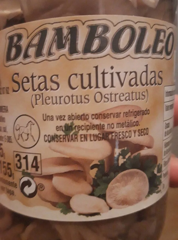 Setas Cultivadas (Pleurotus Ostreatus)