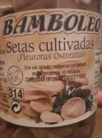 Setas Cultivadas (Pleurotus Ostreatus)
