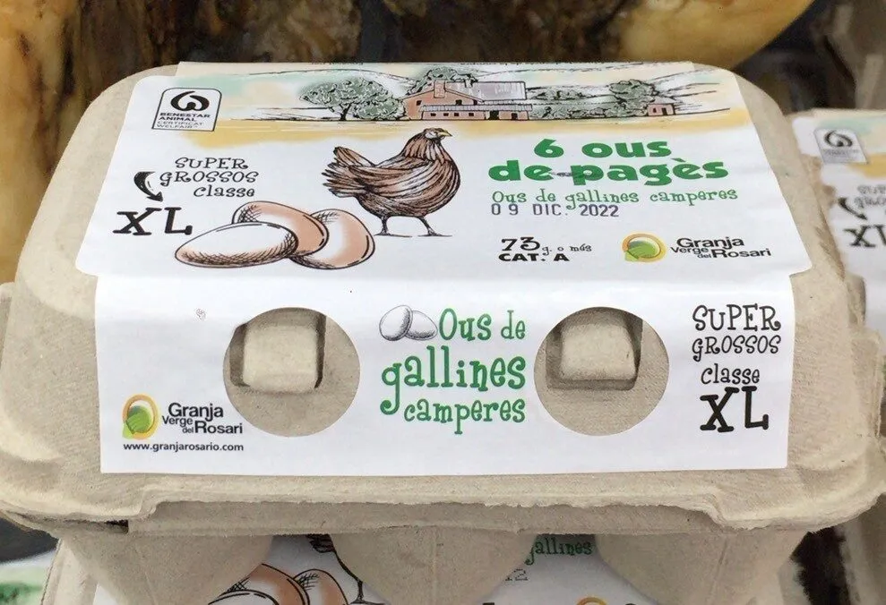 Ous de gallines camperes
