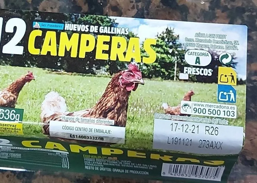 Huevos camperos