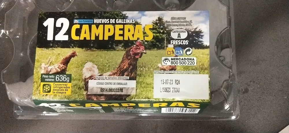 Huevos de Gallinas Camperas