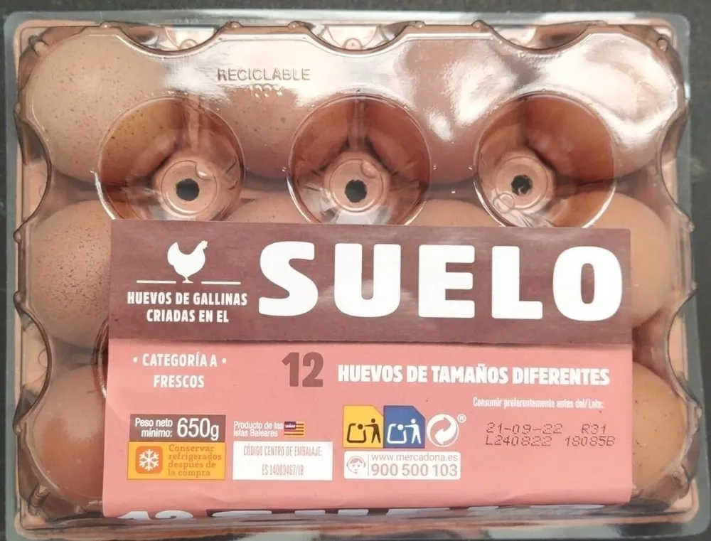 Huevos de gallinas criadas en suelo
