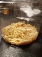 Chips Croustillantes