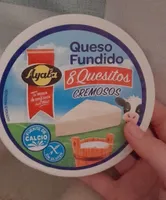 Queso fundido quesitos