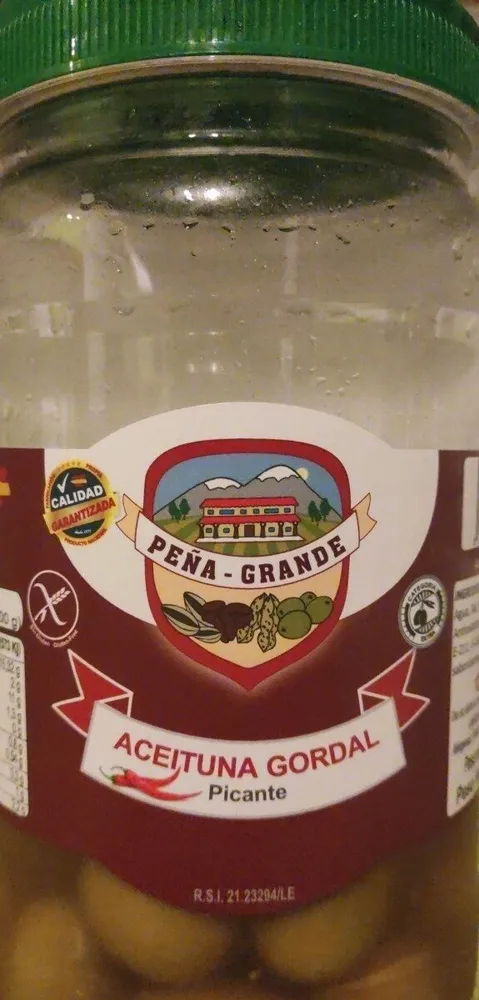 Aceituna gordal