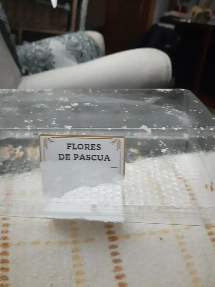 FLORES D PASCUA