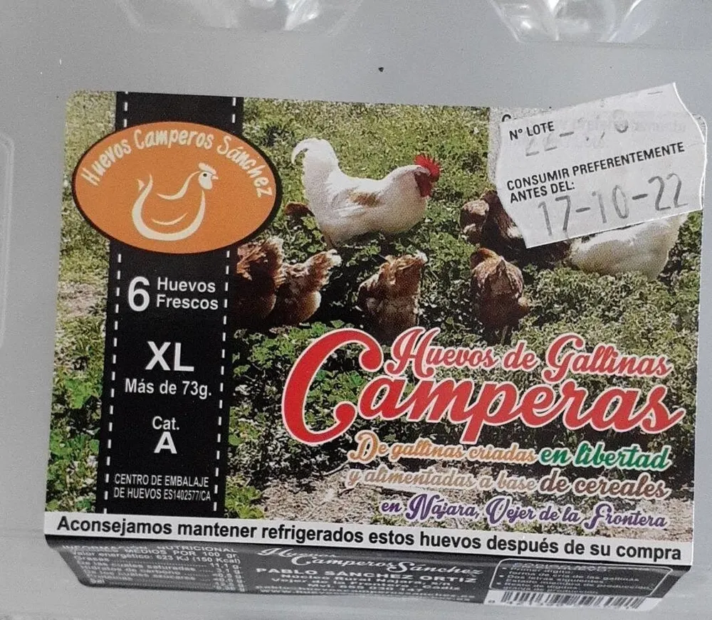 Huevos de gallinas camperas