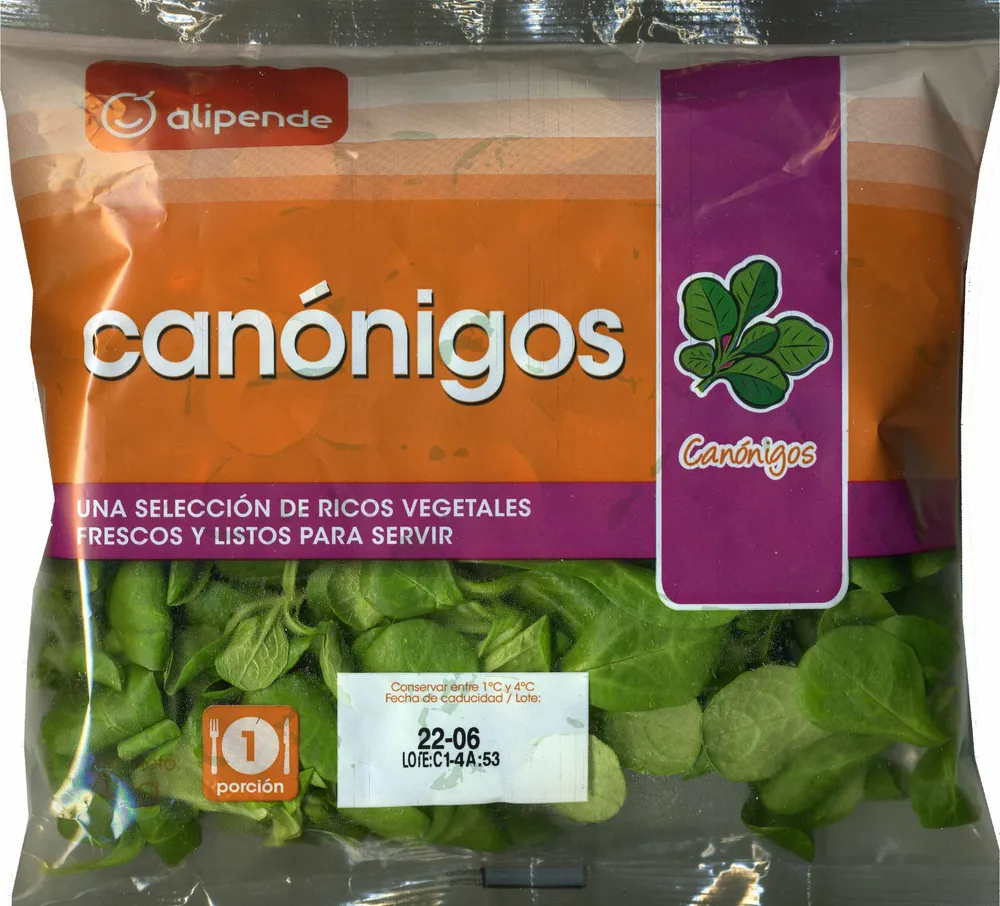 Canónigos