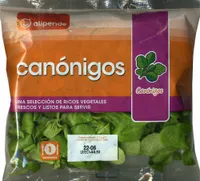 Canónigos