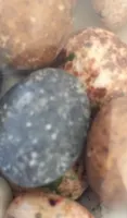 Piedras de río caramelo duro