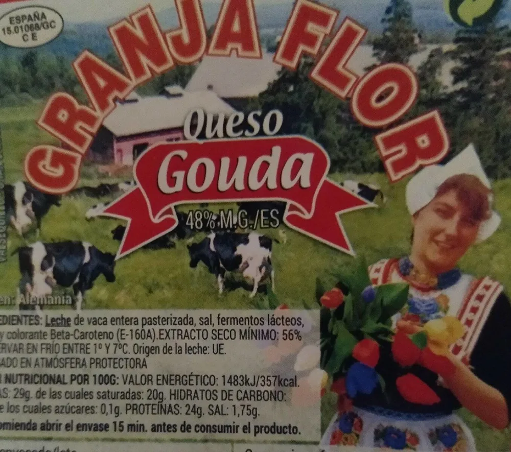 Queso gouda
