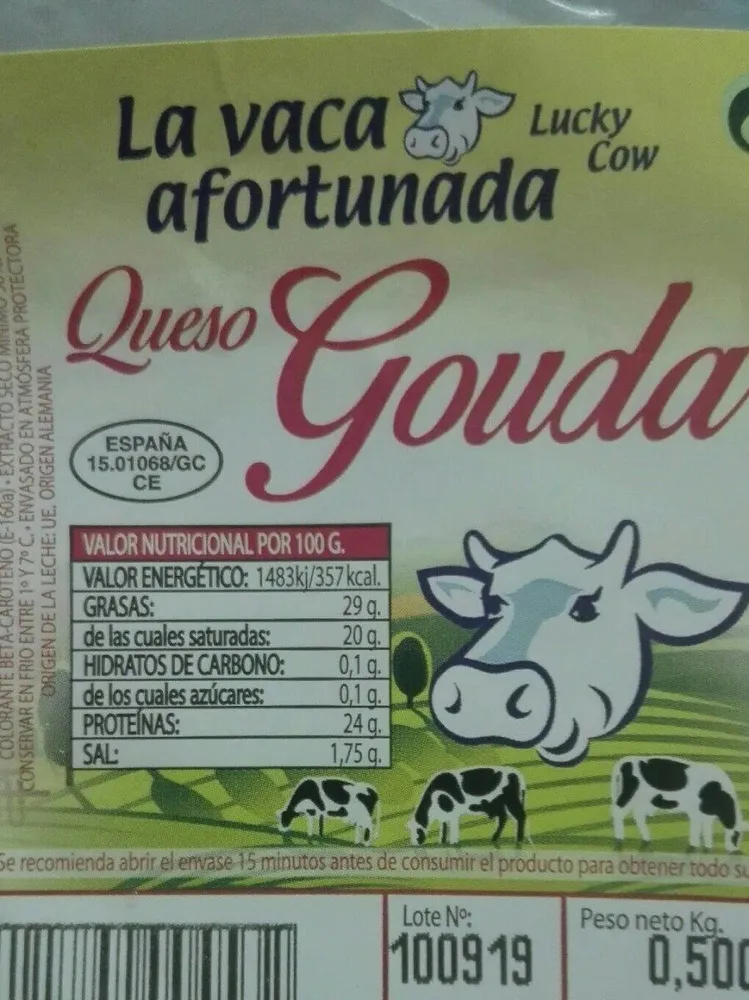 Queso gouda